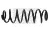 MAPCO 70991 Coil Spring